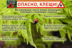 Осторожно: Клещи!.