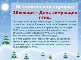День зимующих птиц.